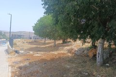 IMG_20250518_114629