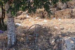IMG_20250525_084834