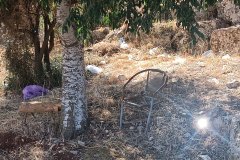 IMG_20250525_084837