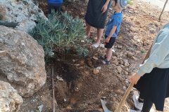 IMG_20250608_141910