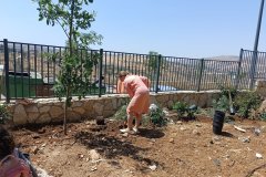 IMG_20250608_142047