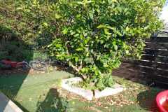 IMG-20251106-WA0110