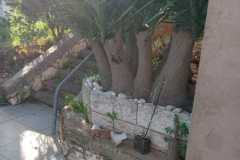 IMG-20251106-WA0114